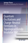 Quantum Oscillations and Charge-Neutral Fermions in Topological Kondo Insulator YbB12 - eBook