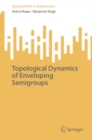 Topological Dynamics of Enveloping Semigroups - eBook