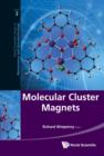 Molecular Cluster Magnets - Book