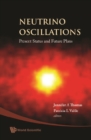 Neutrino Oscillations: Present Status And Future Plans - eBook