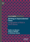 Birthing in Unprecedented Times : Geographies of Risk in Birth Stories - Book