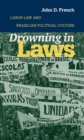 Drowning in Laws : Labor Law and Brazilian Political Culture - eBook