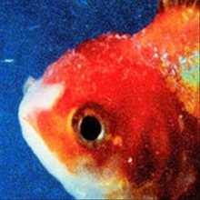 Big Fish Theory, CD / Album Cd Big Fish Theory, CD / Album Cd