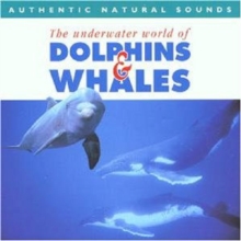 Dolphins and Whales