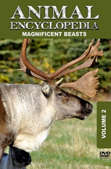 Animal Encyclopedia: Volume 2 - Magnificent Beasts, DVD DVD Animal Encyclopedia: Volume 2 - Magnificent Beasts, DVD DVD