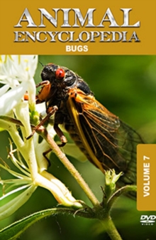 Animal Encyclopedia: Volume 7 - Bugs, DVD DVD Animal Encyclopedia: Volume 7 - Bugs, DVD DVD