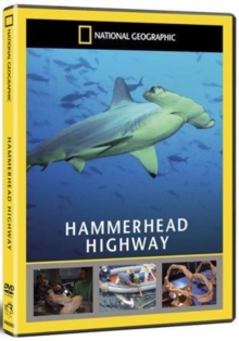 National Geographic: Hammerhead Highway, DVD DVD National Geographic: Hammerhead Highway, DVD DVD