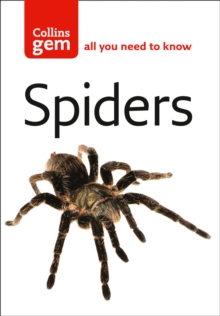 Spiders, Paperback / softback Book Spiders, Paperback / softback Book