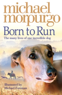 Born to Run, Paperback Book Born to Run, Paperback Book