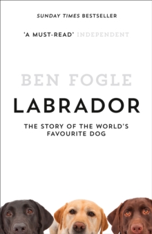 Labrador : The Story of the World's Favourite Dog, Paperback Book Labrador : The Story of the World's Favourite Dog, Paperback Book