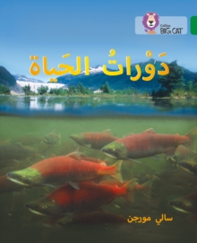 Life Cycles : Level 15, Paperback / softback Book Life Cycles : Level 15, Paperback / softback Book