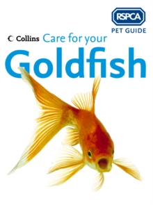 Care for your Goldfish