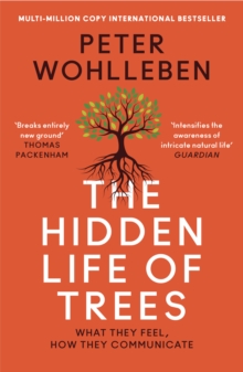 The Hidden Life of Trees : What They Feel, How They Communicate, Paperback / softback Book The Hidden Life of Trees : What They Feel, How They Communicate, Paperback / softback Book