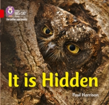 It is Hidden : Band 02b/Red B, Paperback / softback Book It is Hidden : Band 02b/Red B, Paperback / softback Book