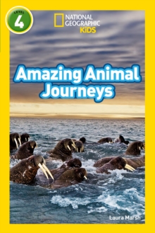 Amazing Animal Journeys : Level 4, Paperback / softback Book Amazing Animal Journeys : Level 4, Paperback / softback Book