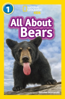 All About Bears : Level 1, Paperback / softback Book All About Bears : Level 1, Paperback / softback Book