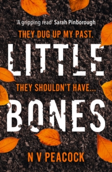 Little Bones, Paperback / softback Book Little Bones, Paperback / softback Book