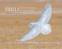 Bird Photographer of the Year : Collection 6