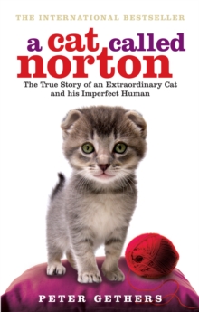 A Cat Called Norton, Paperback Book A Cat Called Norton, Paperback Book