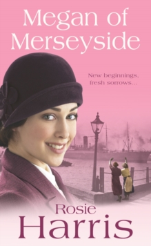 Megan of Merseyside, Paperback Book Megan of Merseyside, Paperback Book