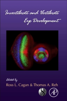 Invertebrate and Vertebrate Eye Development : Volume 93, Hardback Book Invertebrate and Vertebrate Eye Development : Volume 93, Hardback Book