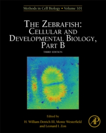 The Zebrafish: Cellular and Developmental Biology, Part B : Volume 134, Hardback Book The Zebrafish: Cellular and Developmental Biology, Part B : Volume 134, Hardback Book
