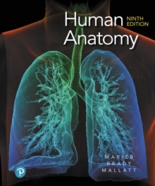 Human Anatomy, Hardback Book Human Anatomy, Hardback Book