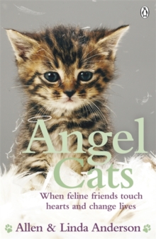 Angel Cats : When Feline Friends Touch Hearts and Change Lives, Paperback Book Angel Cats : When Feline Friends Touch Hearts and Change Lives, Paperback Book