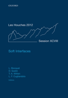 Soft Interfaces : Lecture Notes of the Les Houches Summer School: Volume 98, July 2012