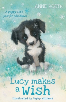 Lucy Makes a Wish, Paperback / softback Book Lucy Makes a Wish, Paperback / softback Book