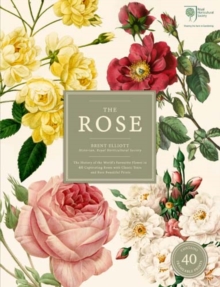 The Rose : The History of the World's Favourite Flower in 40 Roses, Multiple copy pack Book The Rose : The History of the World's Favourite Flower in 40 Roses, Multiple copy pack Book