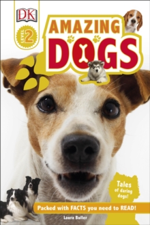 Amazing Dogs, Hardback Book Amazing Dogs, Hardback Book