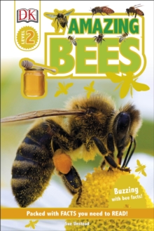 Amazing Bees, Hardback Book Amazing Bees, Hardback Book