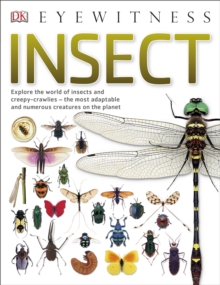 Insect : Explore the world of insects and creepy-crawlies - the most adaptable and numerous creatures on the planet, Paperback / softback Book Insect : Explore the world of insects and creepy-crawlies - the most adaptable and numerous creatures on the planet, Paperback / softback Book
