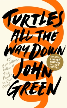 Turtles All the Way Down, Hardback Book Turtles All the Way Down, Hardback Book