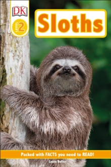 Sloths, Hardback Book Sloths, Hardback Book