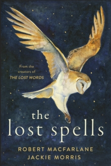 The Lost Spells, Hardback Book The Lost Spells, Hardback Book