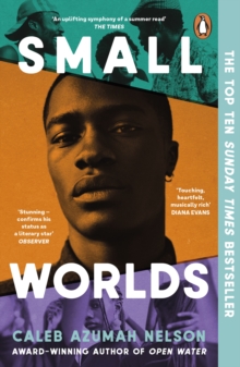 Small Worlds : THE TOP TEN SUNDAY TIMES BESTSELLER