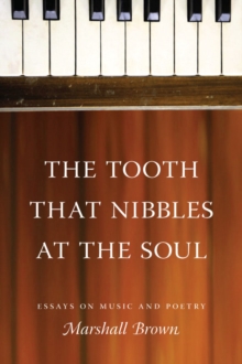 The Tooth That Nibbles at the Soul : Essays on Music and Poetry, Paperback / softback Book The Tooth That Nibbles at the Soul : Essays on Music and Poetry, Paperback / softback Book