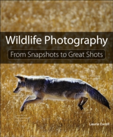 Wildlife Photography : From Snapshots to Great Shots, Paperback Book Wildlife Photography : From Snapshots to Great Shots, Paperback Book