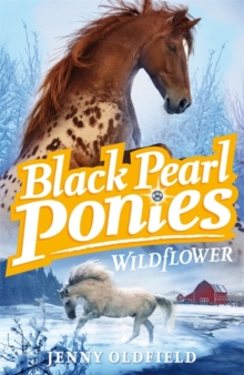 Black Pearl Ponies: Wildflower : Book 2, Paperback Book Black Pearl Ponies: Wildflower : Book 2, Paperback Book