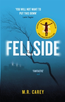 Fellside, Paperback / softback Book Fellside, Paperback / softback Book
