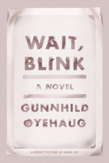 Wait, Blink : A Perfect Picture of Inner Life, Hardback Book Wait, Blink : A Perfect Picture of Inner Life, Hardback Book