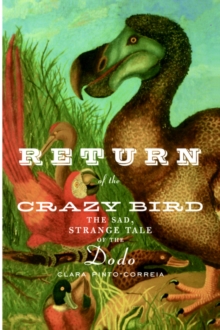 Return of the Crazy Bird : The Sad, Strange Tale of the Dodo, Hardback Book Return of the Crazy Bird : The Sad, Strange Tale of the Dodo, Hardback Book