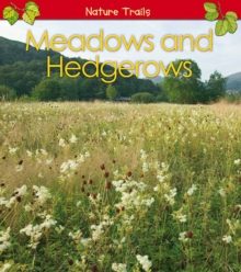 Meadows & Hedgerows, Hardback Book Meadows & Hedgerows, Hardback Book