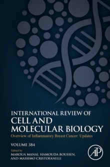 Overview of Inflammatory Breast Cancer: Updates : Volume 384