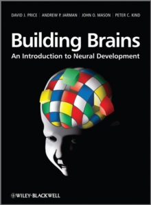 Building Brains : An Introduction to Neural Development, Hardback Book Building Brains : An Introduction to Neural Development, Hardback Book