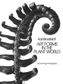 Art Forms in the Plant World, Paperback Book Art Forms in the Plant World, Paperback Book