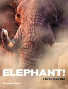 Elephant!, Hardback Book Elephant!, Hardback Book