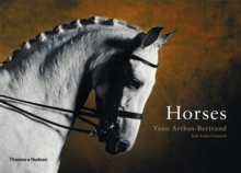 Horses, Hardback Book Horses, Hardback Book